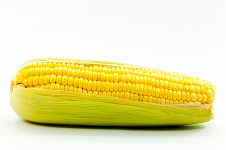 fresh sweet cornの写真素材