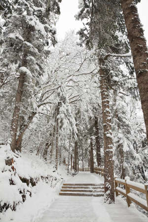 huanglong walkway in late october, chinaの写真素材