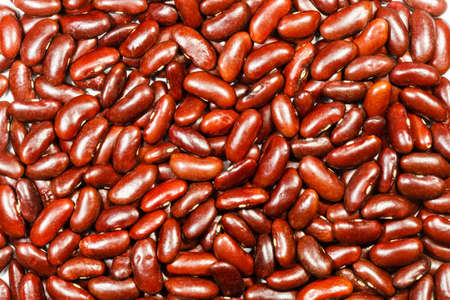 Red kidney bean