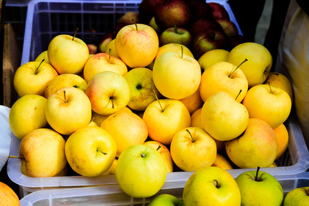 Fresh ripe apples in chinaの写真素材