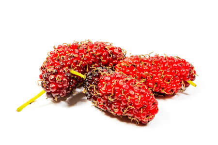 Fresh mulberry isolate on white backgroundの写真素材