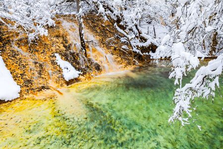 View of stream and snow covered branches of trees in Huanglong, Sichuan, Chinaの写真素材