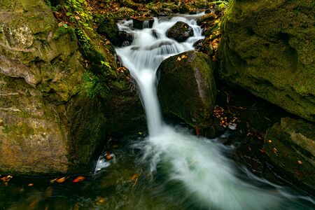 Oirase Mountain Stream flow passing green mossy rocks covered with colorful falling leaves of autumn...