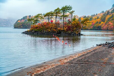 Autumn landscape of Lake Towada in raining day with the colorful foliage at the forest in the town...