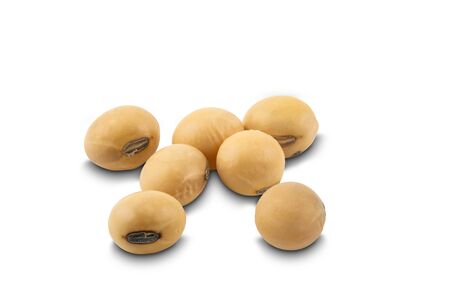 Soy beans on white background   . Soybean is a kind  legume native to east asia.の写真素材