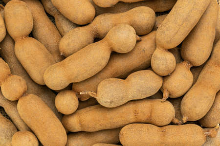Top view pile of tamarind on the floor. Heap of organic ripe tamarind in nature.の写真素材