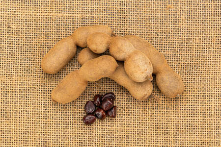 Top view of ripe tamarind and seeds on sackcloth. Tamarind is a kind of herbs use in spa.の写真素材
