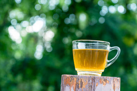View of transparent cup of tea on the wooden post in front of the green teak forest.の写真素材