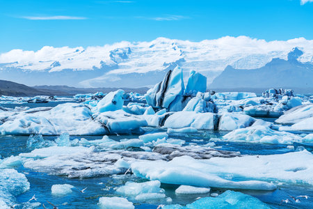 View of frozen Jokulsarlon Glacial Lagoon in summer day in Iceland. Seagull bird flying and feeding...