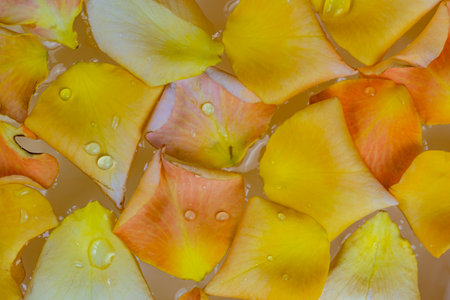 Top view closeup of colorful rose petals floating on water in the bowl of aroma spa. Spa and cosmetic concepts.の写真素材