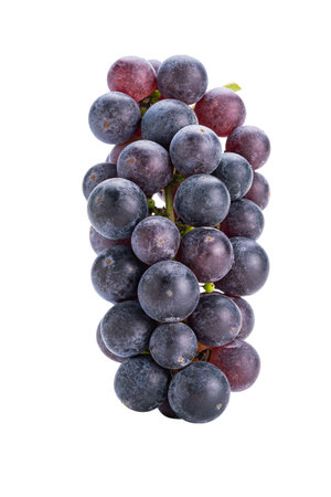 Bunch of black grapes isolated on white background with clipping path.の写真素材