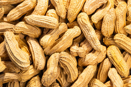 Top view of unpeeled Peanut or groundnut or Arachis hypogaea background. Peanut with shell on the...
