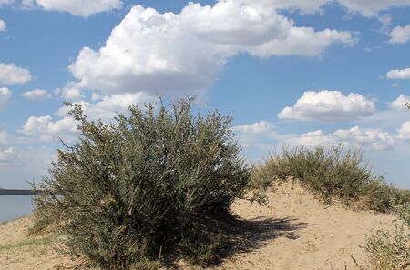 the sky reflected in the water, deserted beach lake, summer sky, nature, blue cloud,の写真素材