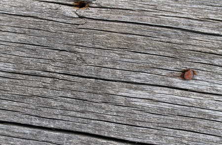 The old wood texture with natural patterns. Inside the tree background. Old grungy and weathered grey wooden wall planks texture backgroundの写真素材