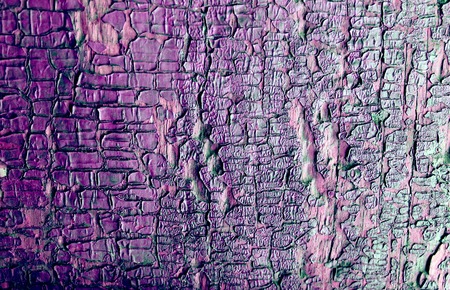 Old wooden background with remains of pieces of scraps of old paint on wood. Texture of an old tree,...