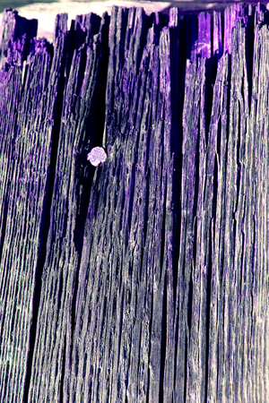 background of wooden plank texture wall with selected tone color. Abstract background of an old wooden wall with a bright texture. paint ultravioletの写真素材