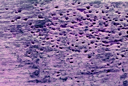 texture of the old spoiled wood damaged by woodwormの写真素材