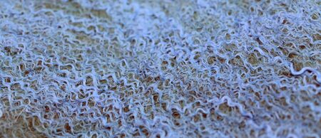 hand-made felt background texture, wool texture, handmade textile