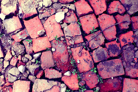 bricklaying from broken red brick with sprouted green grassの写真素材