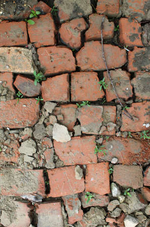 bricklaying from broken red brick with sprouted grassの写真素材