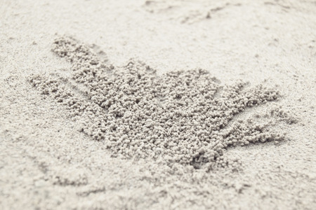 Balls of crab soldier on a sandy beach textureの写真素材