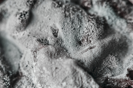 Green mold on black tea leaves, macrophotoの写真素材