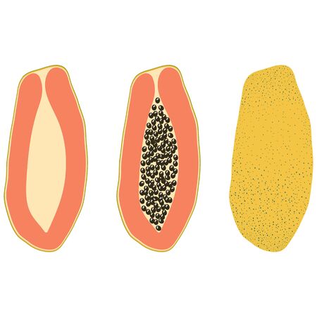 Set of three types of yellow papaya â half, with bones, in the skin. Vector illustration.のイラスト素材