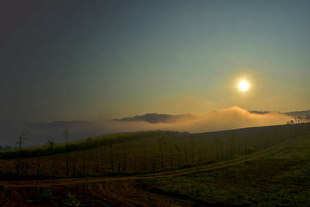 khaokhoの写真素材