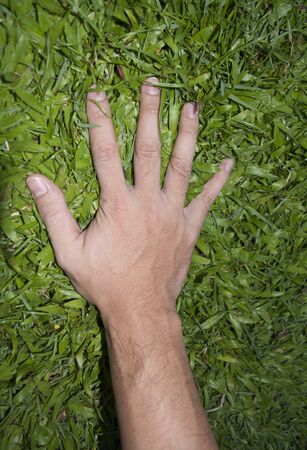 handle  grass stranglehold hand clasp wispの写真素材