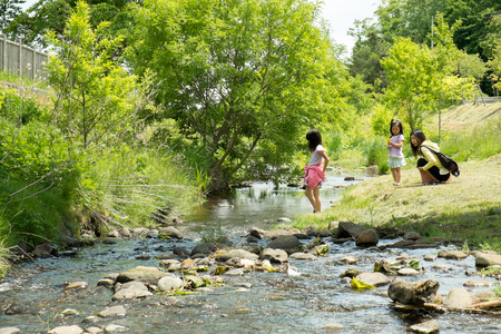 Parents and children playing in the riverの写真素材