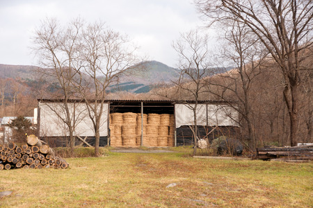 Stored in a barn hayの写真素材