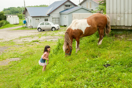 Approach the horse girlの写真素材