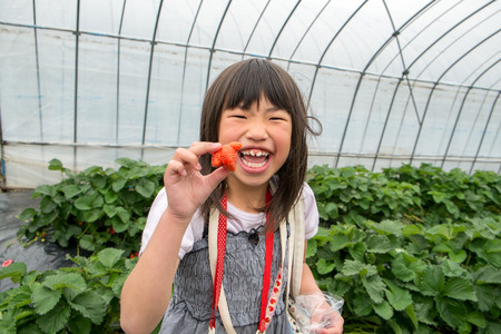 The girl with the strawberryの写真素材