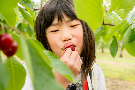 Girl eating cherries
