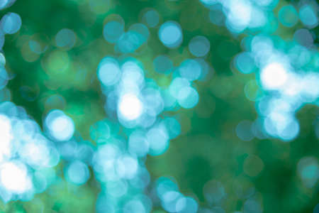 Bokeh blur from natural tree For texture backgroundの写真素材