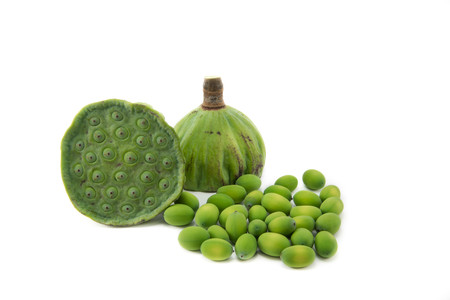 Lotus seeds, arranged on a white background beautifully isolated.の写真素材
