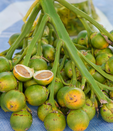 Betel Nuts.A medicinal plant speciesの写真素材