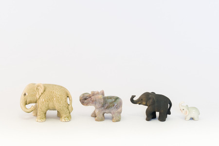 Ornament of the elephants