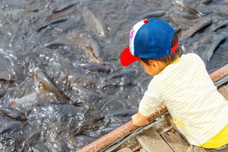Toddler Watching Fishの写真素材