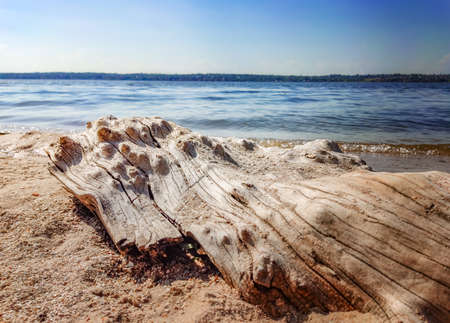 Nature background sun blue river and wooden log on yellow sand
