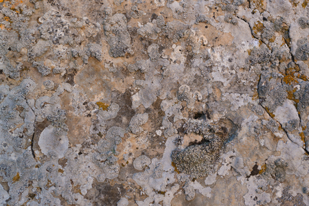 The texture of the stone close up in the desertの写真素材