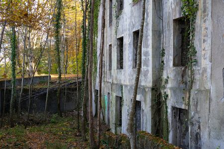Old abandoned light building in the forestの写真素材