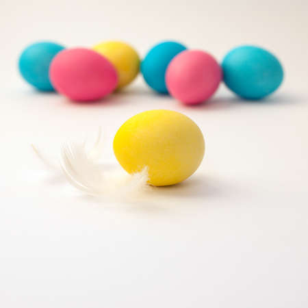 colored easter eggs with feather