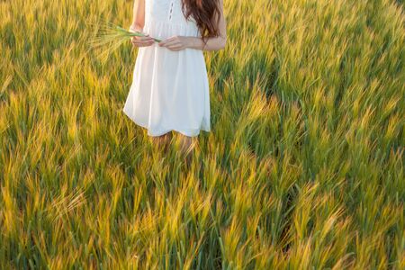 woman touching wheat ear in wheat field , sunset lightの写真素材