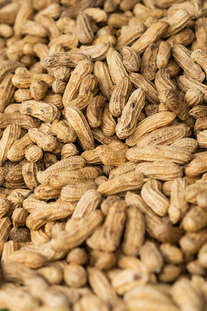 Peanut with a shell. Top view.  A lots of nuts