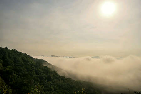Morning fog