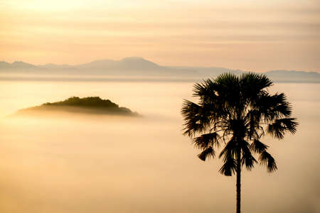 Sunrise and fogの素材