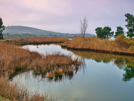 Wetland or bog of Psahna, also known as Kolovrehtis in Evia, Greece. Colorful vibrant landscape under cloudy sky.の写真素材