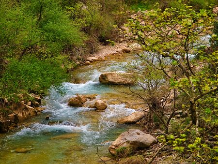 Neda river, in Peloponnese Greece.の写真素材