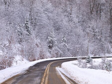 Empty asphalt road in snow covered spruce forest.の写真素材
